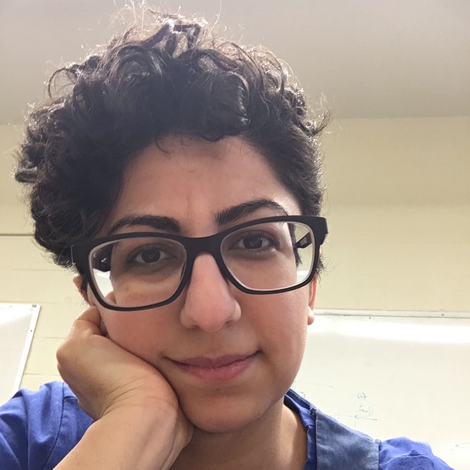 mabbasidinan@cs.stonybrook.edu